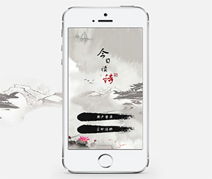 渭南IOS APP开发代驾电商系统让您的愿景成为现实【疯狂特惠，三天三夜！】